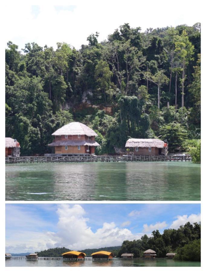 Pitsyor Dcoral Paradise Resort المظهر الخارجي الصورة
